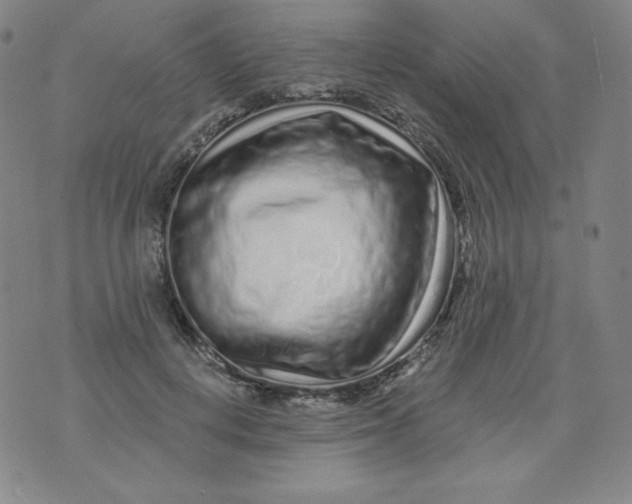 X0000074280648200609151853