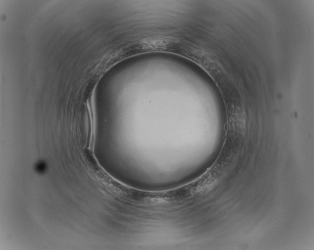 X0000074280649200609151853