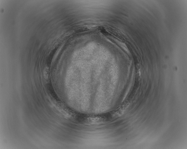 X0000074280650200609151853