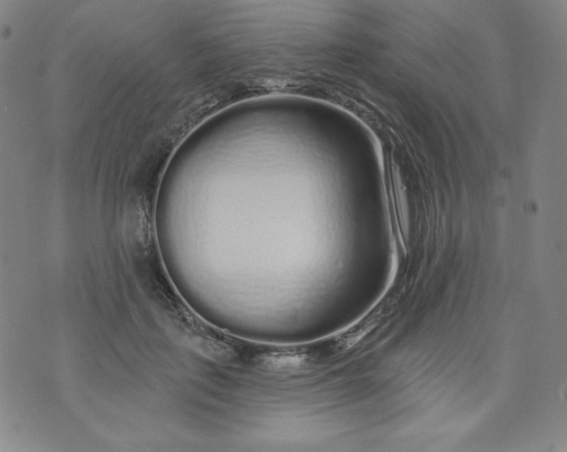 X0000074280651200609151853