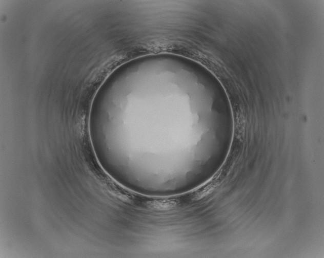 X0000074280652200609151853