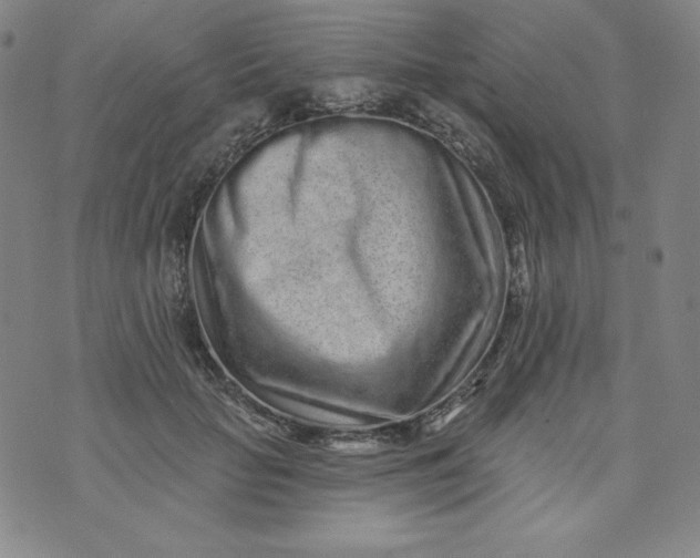 X0000074280653200609151853