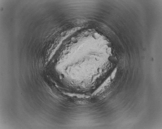 X0000074280654200609151853