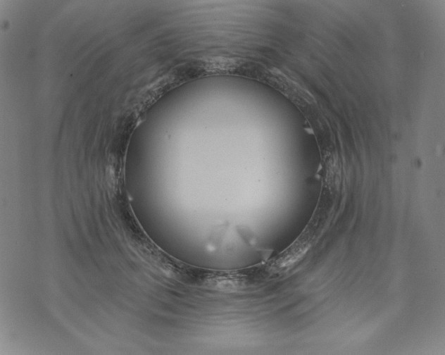 X0000074280655200609151853