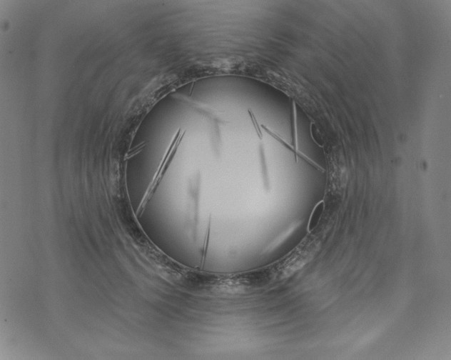 X0000074280656200609151853