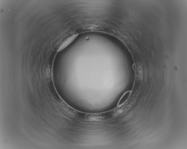 X0000074280657200609151853