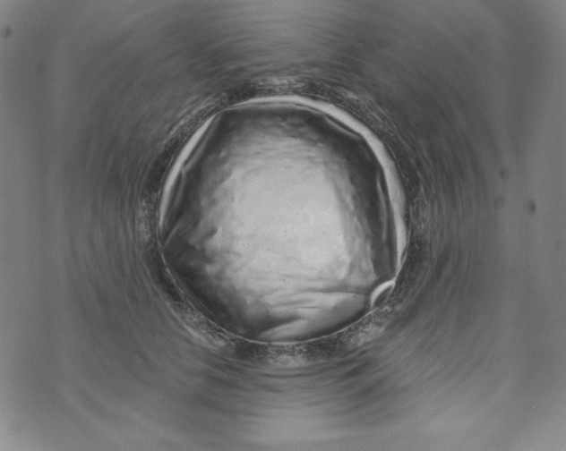 X0000074280658200609151853