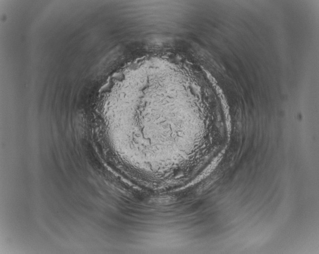 X0000074280659200609151853