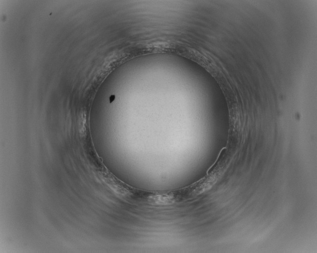 X0000074280660200609151853