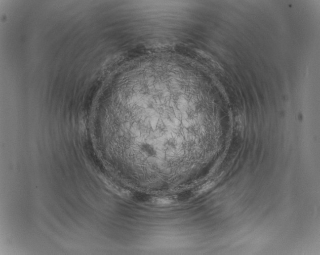 X0000074280662200609151853