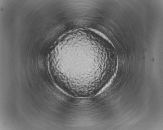 X0000074280663200609151853