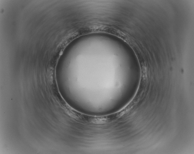 X0000074280664200609151853