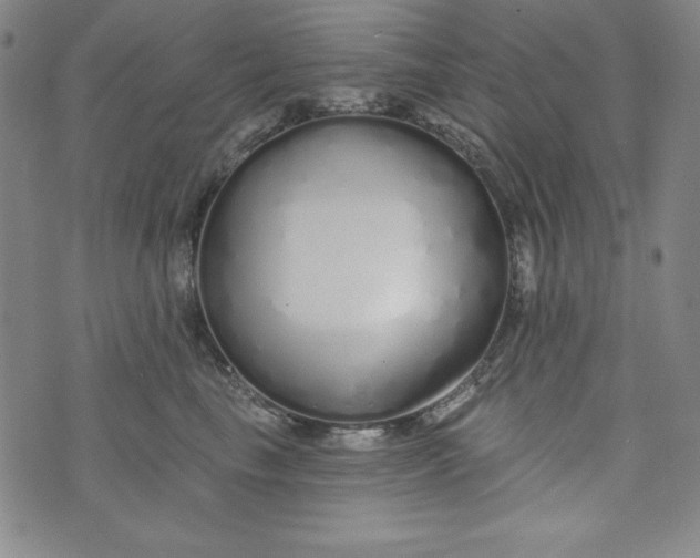 X0000074280665200609151853