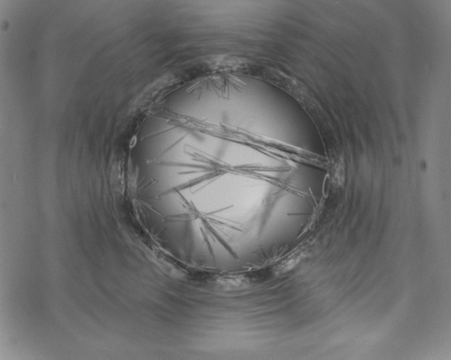 X0000074280666200609151853