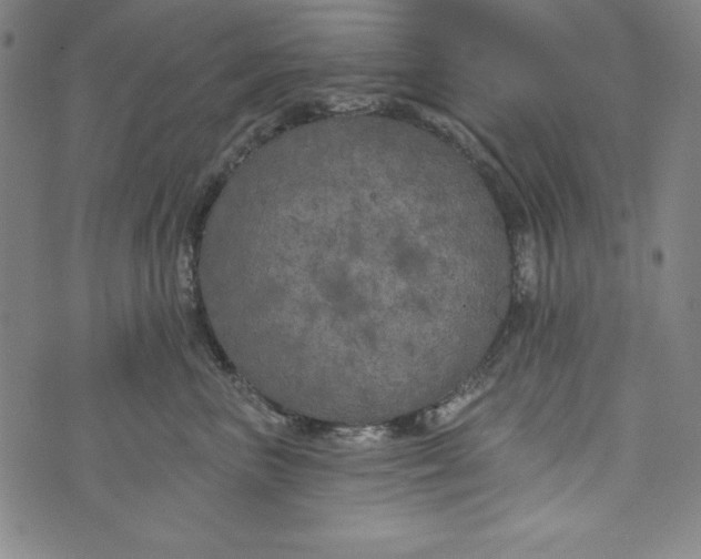 X0000074280667200609151853