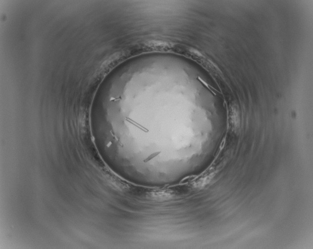 X0000074280668200609151853