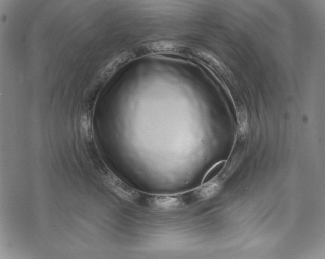 X0000074280669200609151853