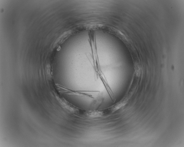 X0000074280670200609151853