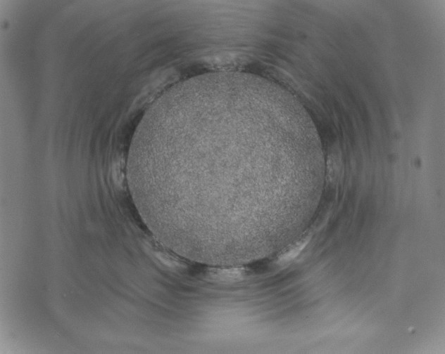 X0000074280671200609151853