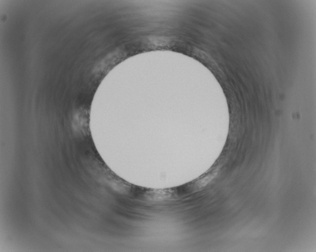 X0000074280672200609151853