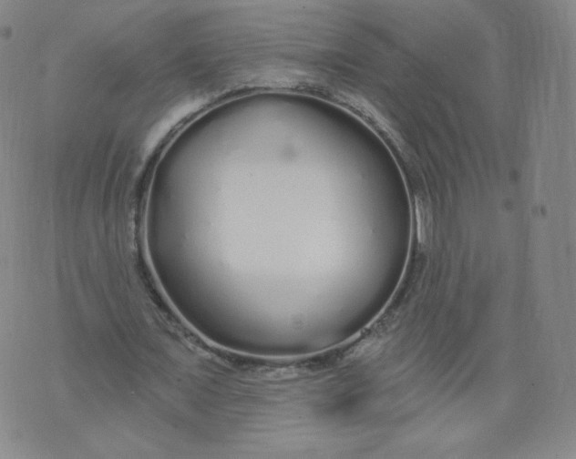 X0000074280675200609151852