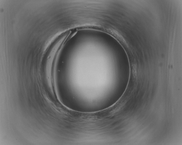 X0000074280676200609151852