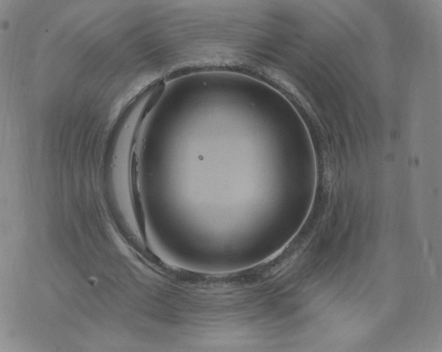 X0000074280677200609151852