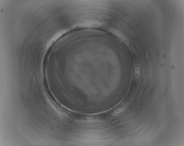 X0000074280678200609151852