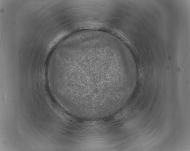 X0000074280679200609151852