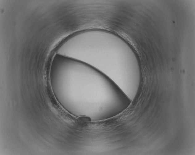 X0000074280680200609151852