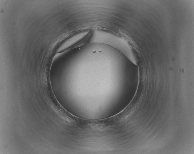 X0000074280681200609151852