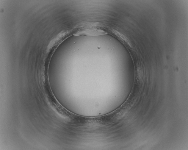 X0000074280682200609151852