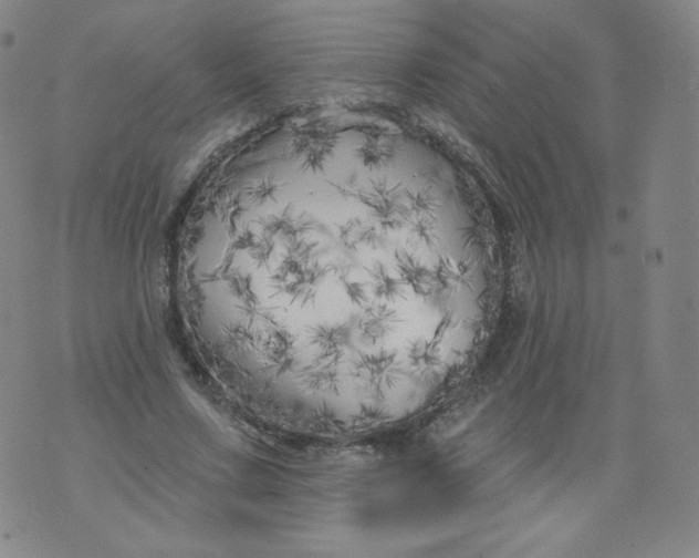 X0000074280683200609151852