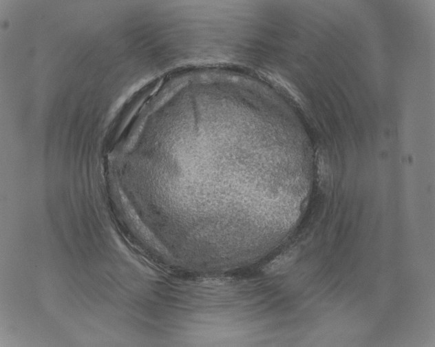 X0000074280684200609151852