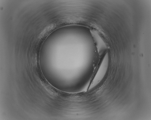 X0000074280685200609151852