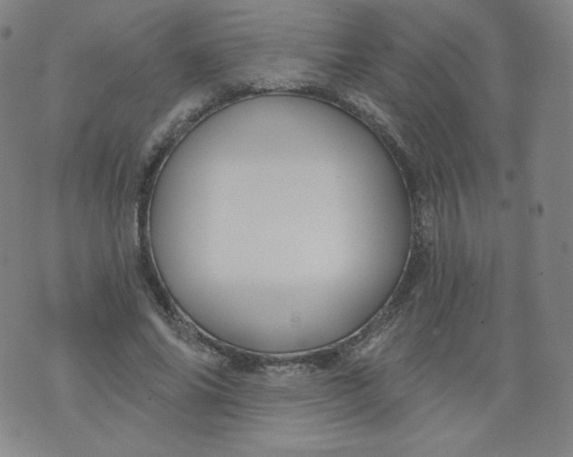 X0000074280686200609151852