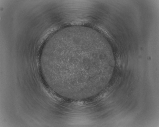 X0000074280687200609151852