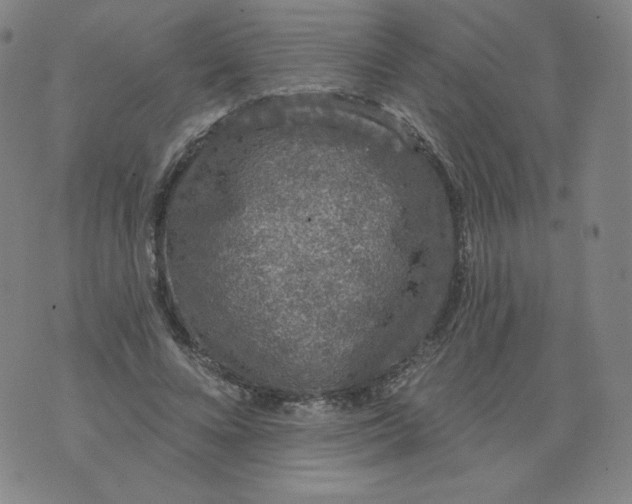 X0000074280688200609151852