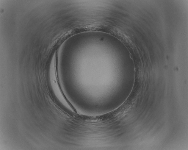 X0000074280689200609151852