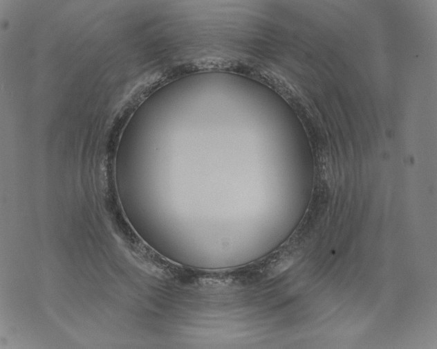 X0000074280690200609151852