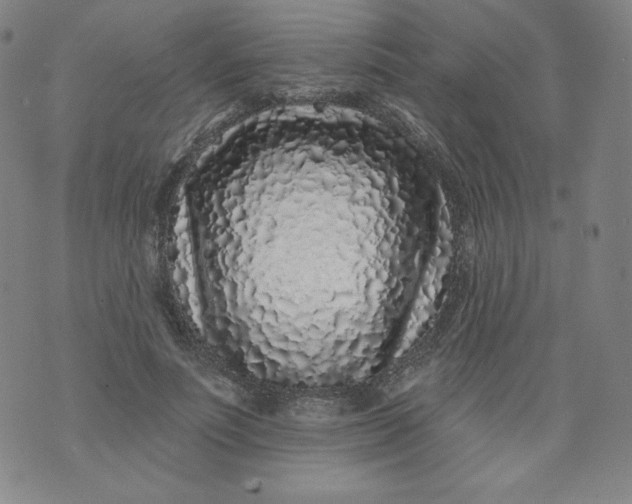 X0000074280691200609151852