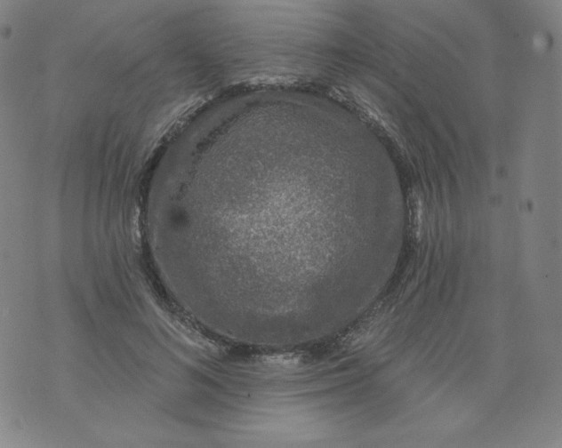 X0000074280692200609151852