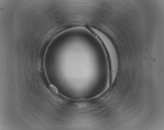 X0000074280693200609151852