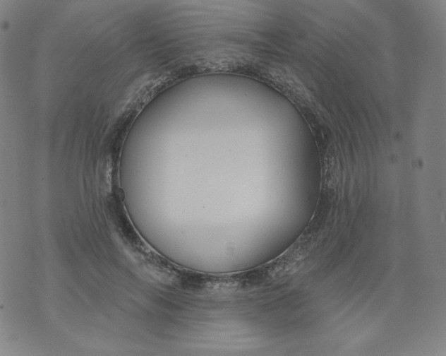 X0000074280694200609151852