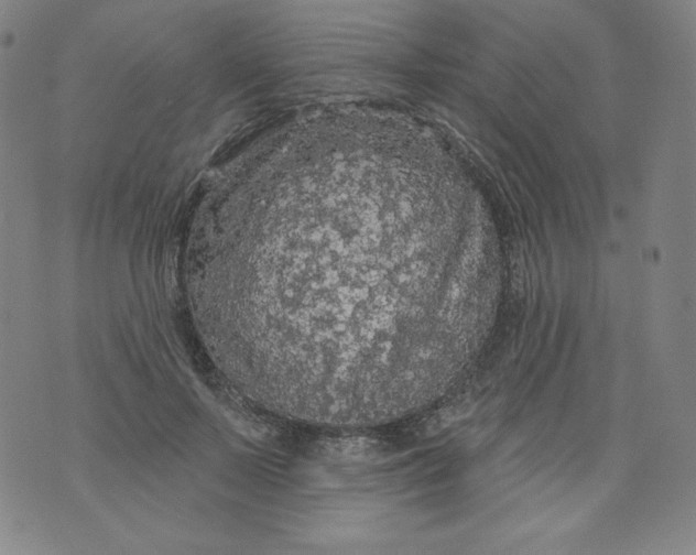 X0000074280695200609151852