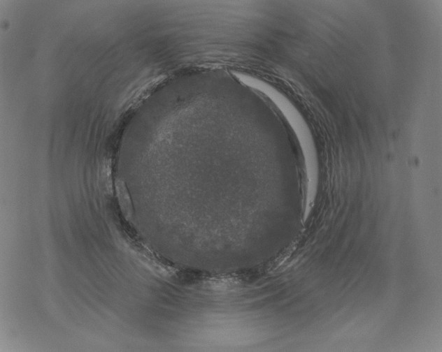 X0000074280696200609151852