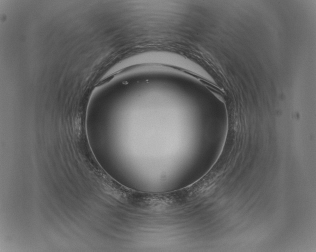 X0000074280697200609151852