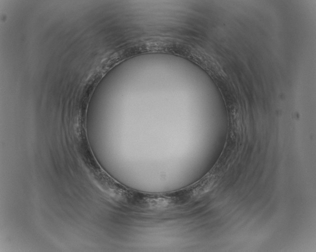 X0000074280698200609151852