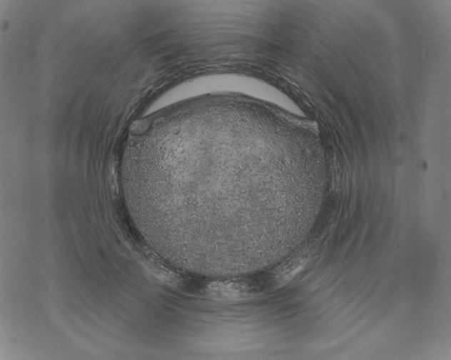 X0000074280699200609151852