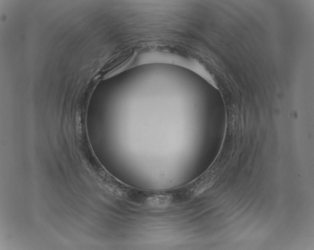 X0000074280700200609151852